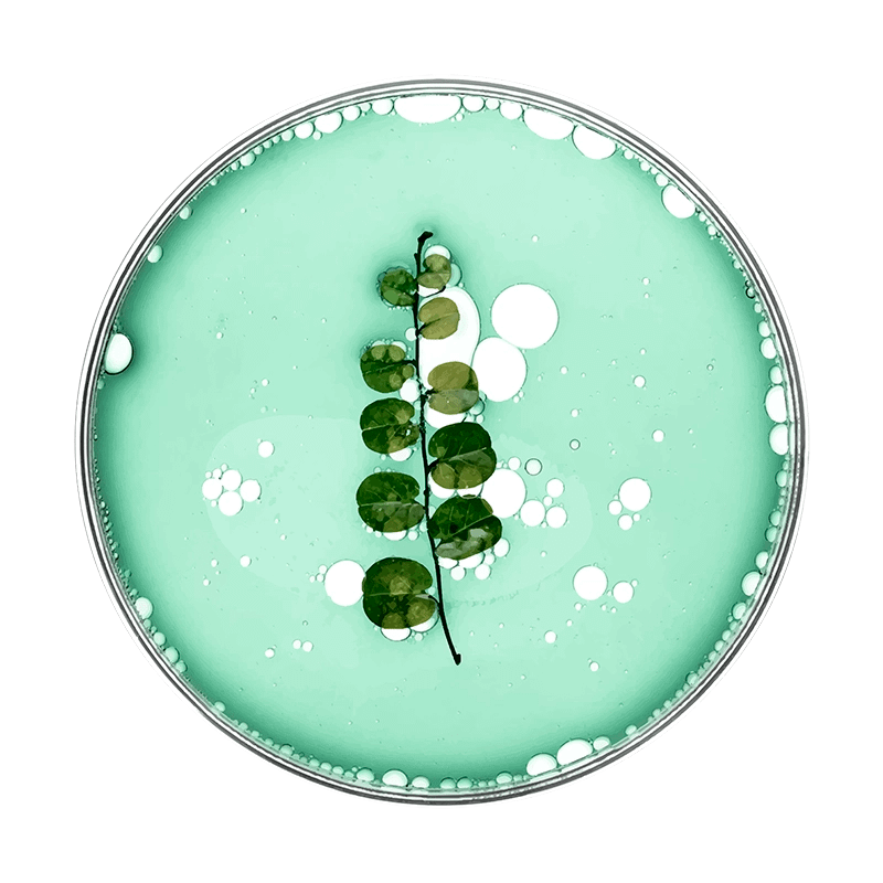 Imagen de refuerzo para los proudctos con etiqueta ecológica EU-Ecolabel.